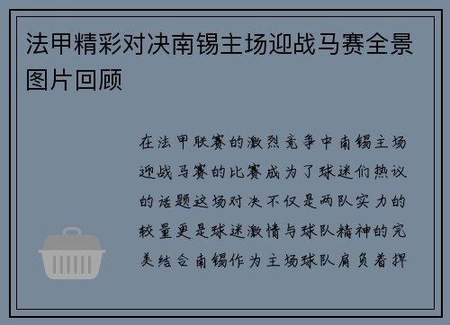 法甲精彩对决南锡主场迎战马赛全景图片回顾