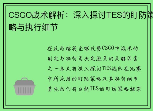 CSGO战术解析：深入探讨TES的盯防策略与执行细节